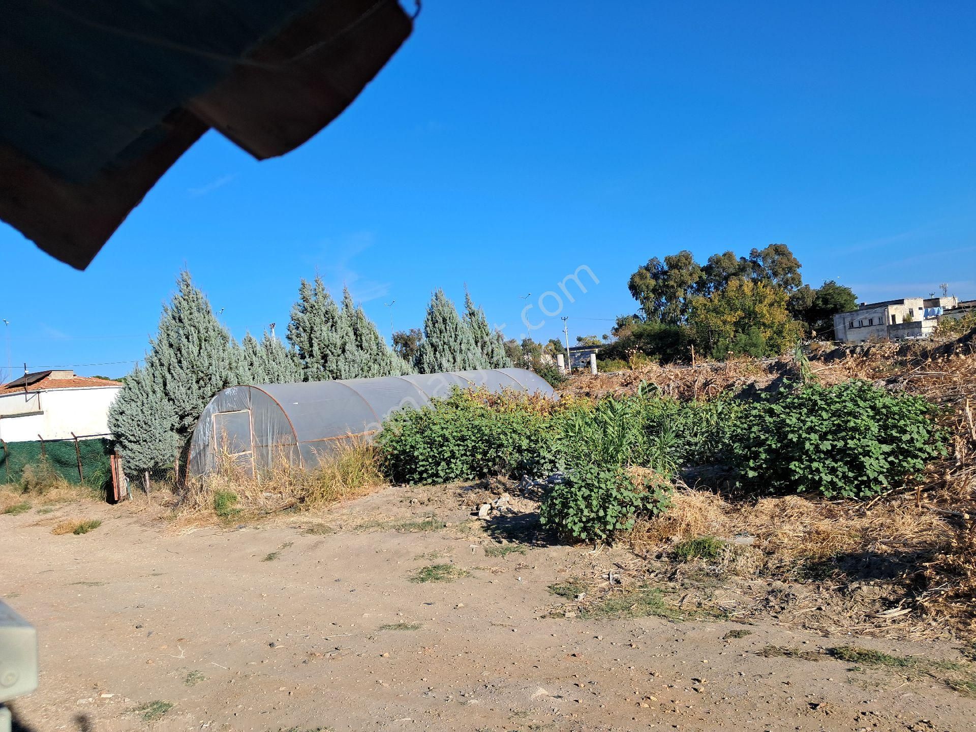 Balıkesir/edremit 255m2 Müstakil Bahçeli 2.5 İmarlı Ev - Görsel 10