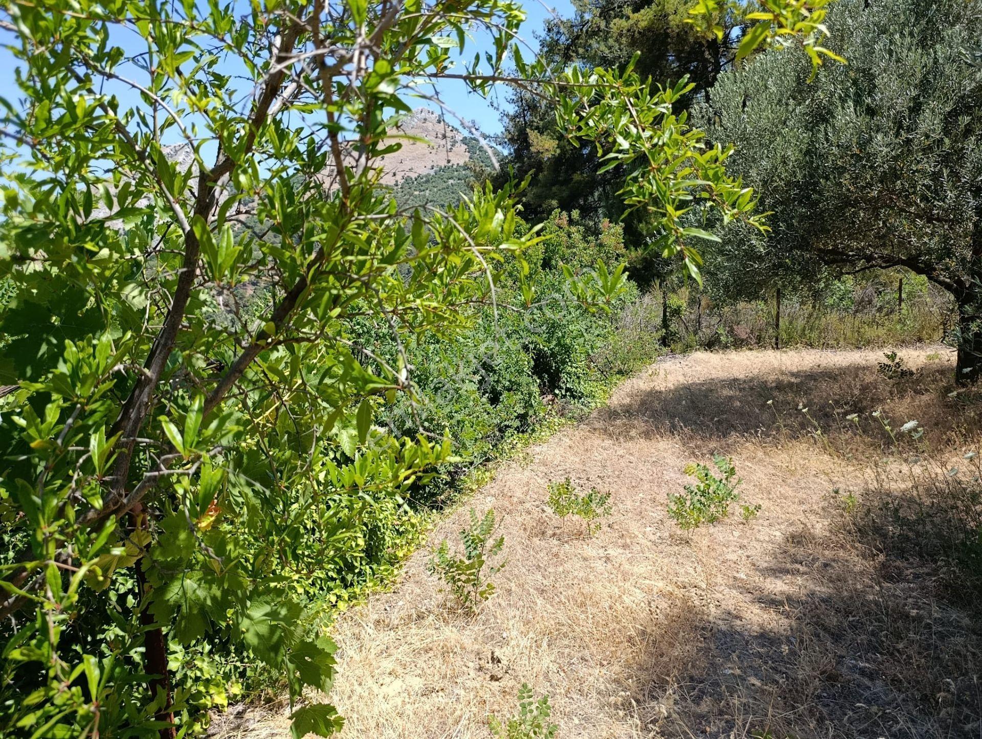 Manisa Soma Darkale Satılık Tarla - Görsel 24