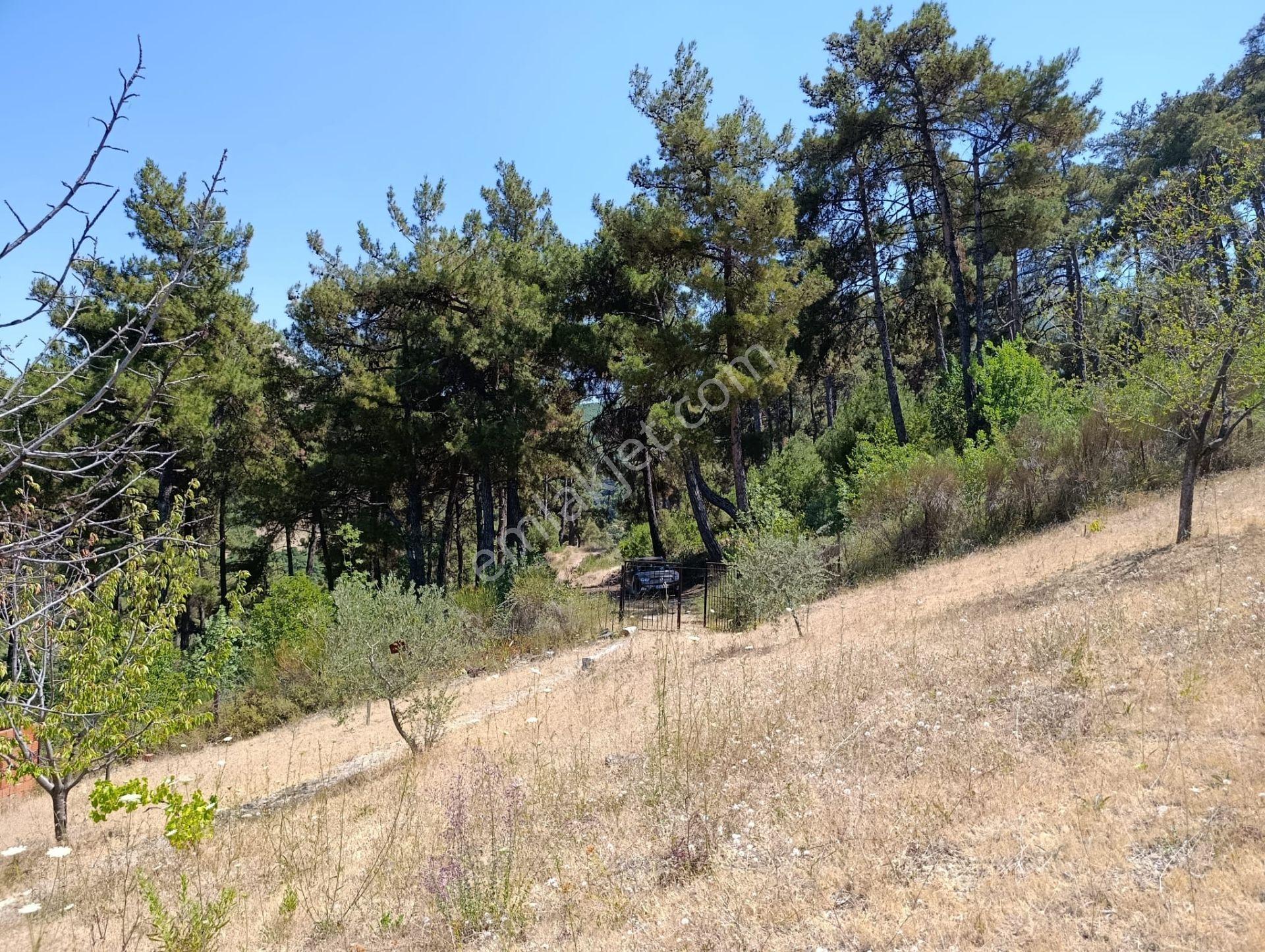 Manisa Soma Darkale Satılık Tarla - Görsel 33