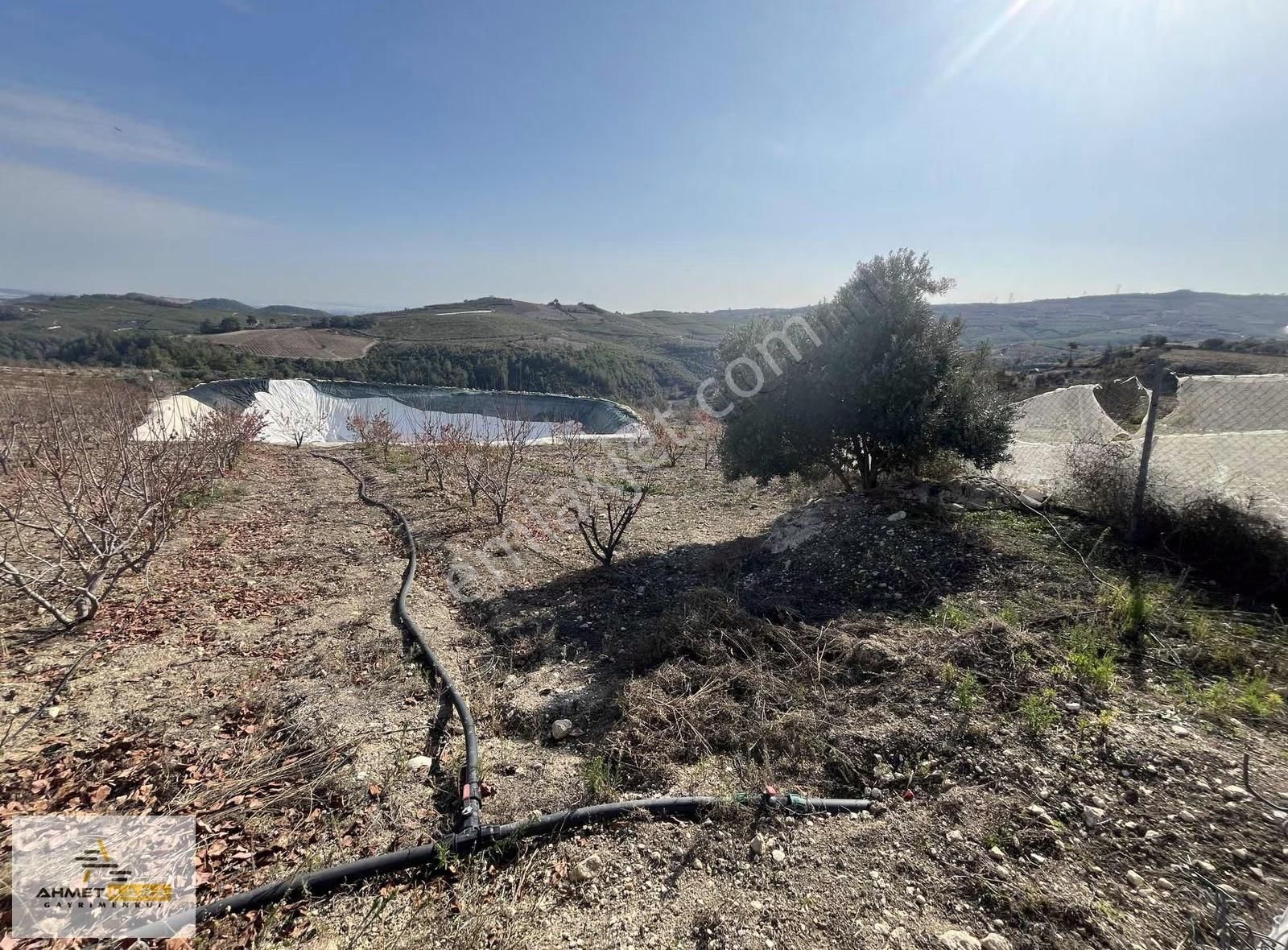 Ahmet Kara'dan Doruklu'da Manzaralı Müstakil Tapulu 24000m2 Arsa - Görsel 12