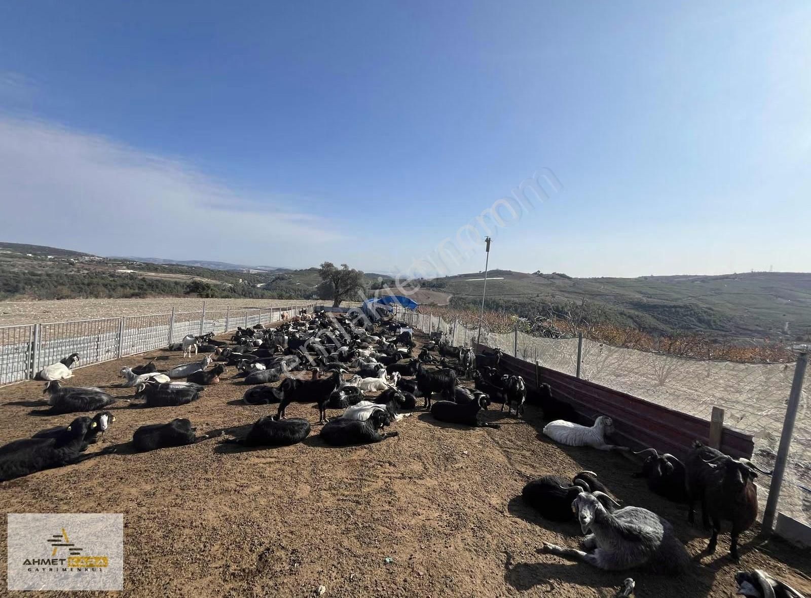 Ahmet Kara'dan Doruklu'da Manzaralı Müstakil Tapulu 24000m2 Arsa - Görsel 13