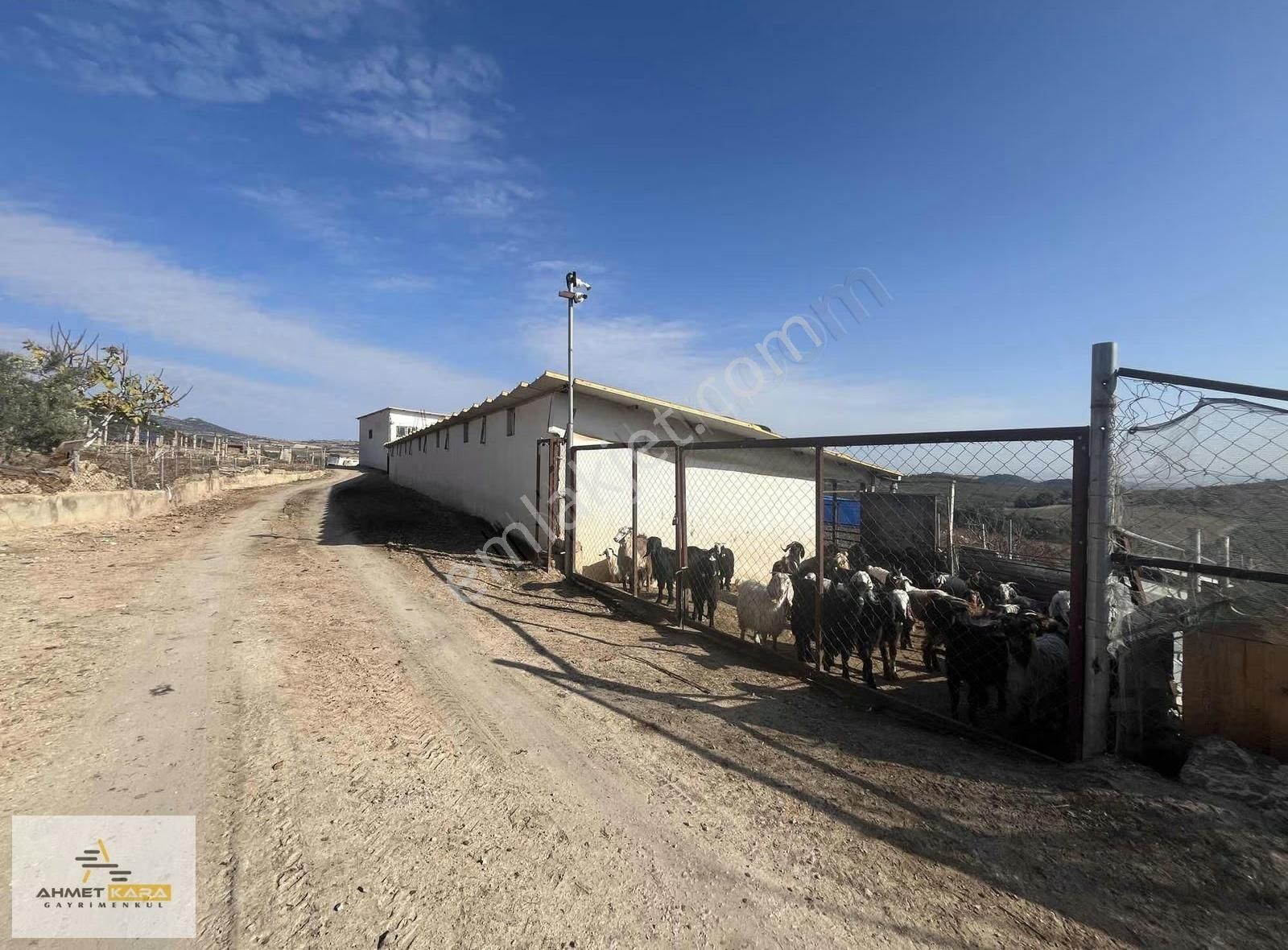 Ahmet Kara'dan Doruklu'da Manzaralı Müstakil Tapulu 24000m2 Arsa - Görsel 2