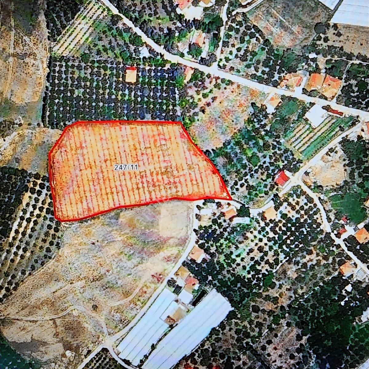 Kaş Gömbe Merkezde İmarlı 11.400m2 Satılık Arsa - Görsel 5