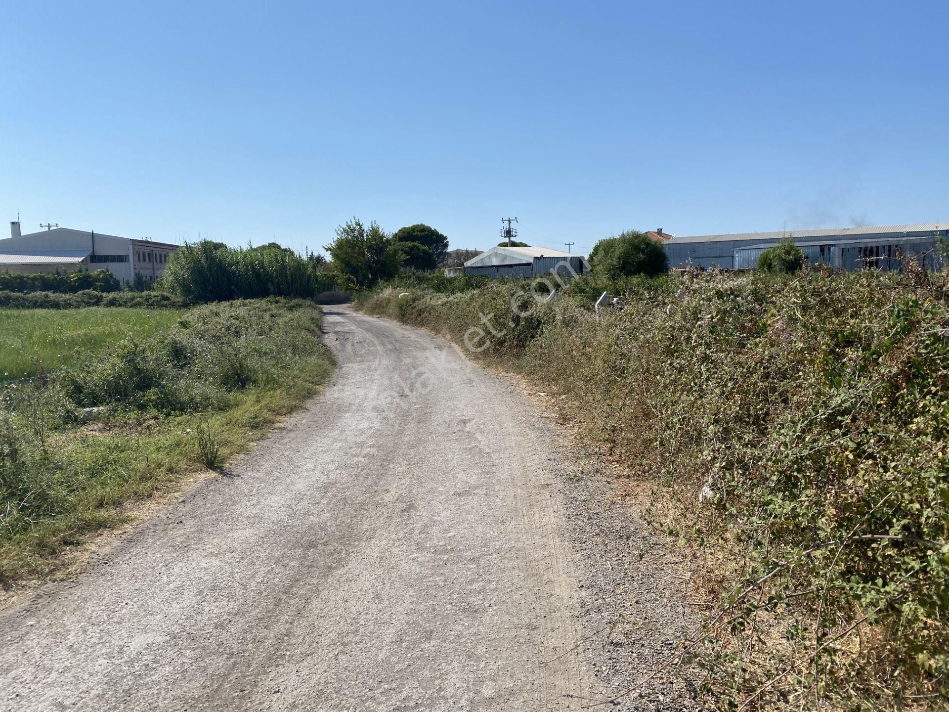 Balıkesir Ayvalık Ta Satılık 12,656 Metre Kare Arsa. - Görsel 3