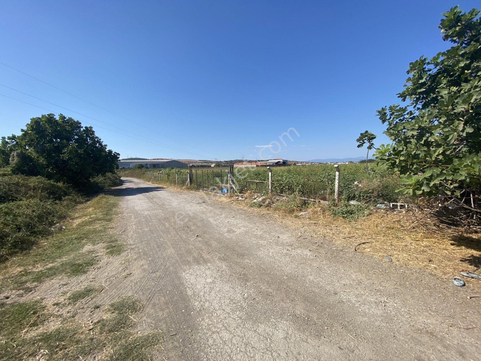 Balıkesir Ayvalık Ta Satılık 12,656 Metre Kare Arsa. - Görsel 8