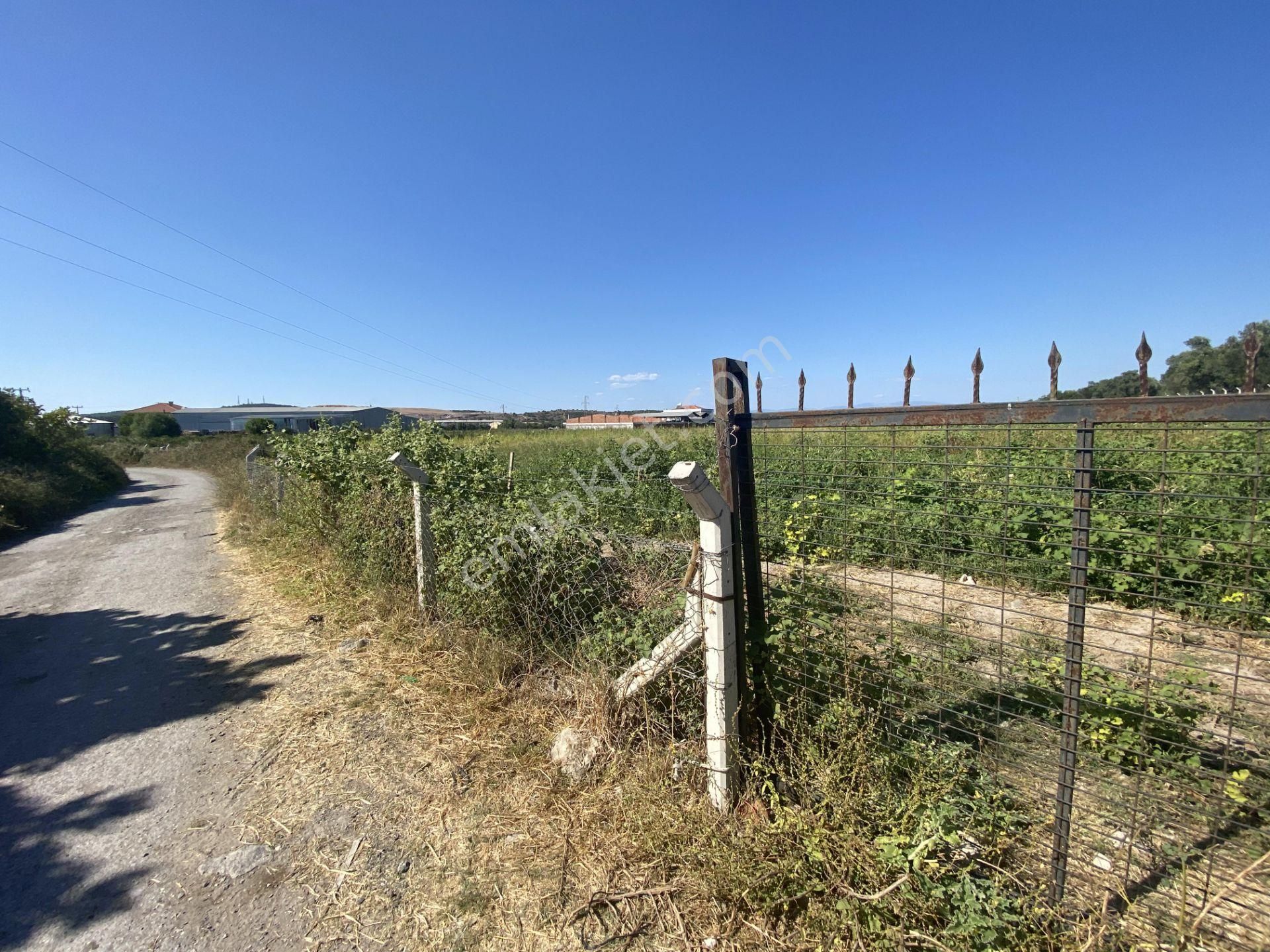 Balıkesir Ayvalık Ta Satılık 12,656 Metre Kare Arsa. - Görsel 9