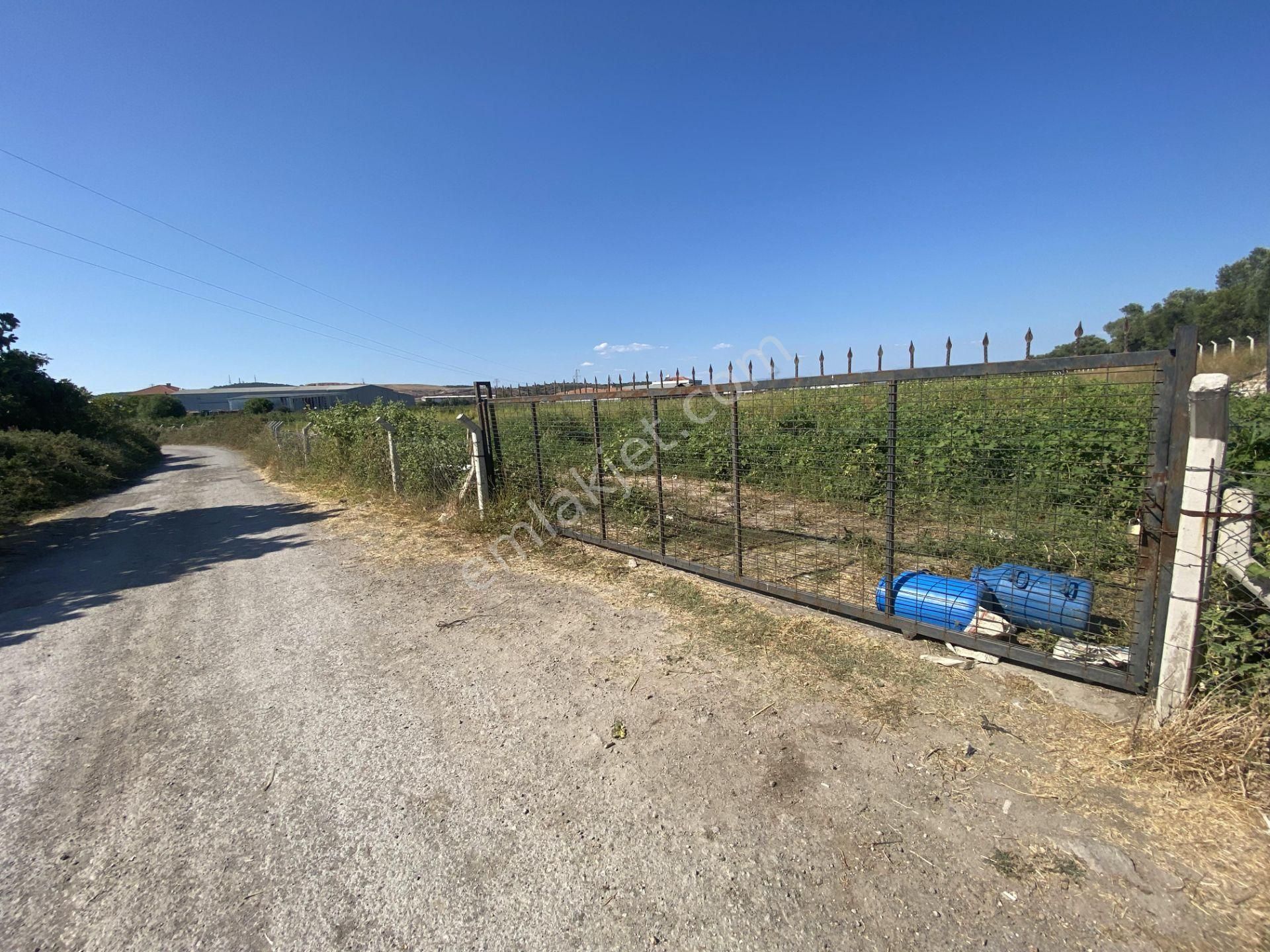 Balıkesir Ayvalık Ta Satılık 12,656 Metre Kare Arsa.