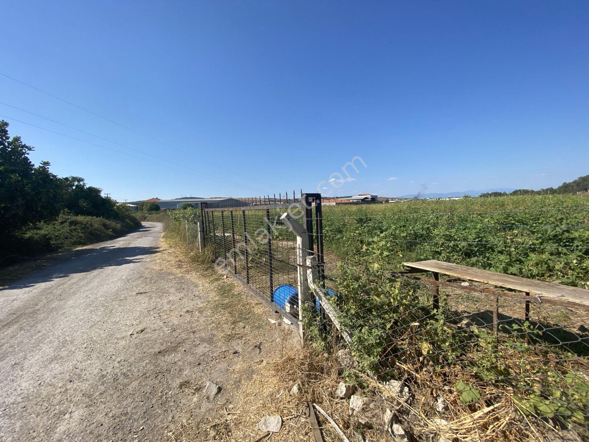 Balıkesir Ayvalık Ta Satılık 12,656 Metre Kare Arsa. - Görsel 6