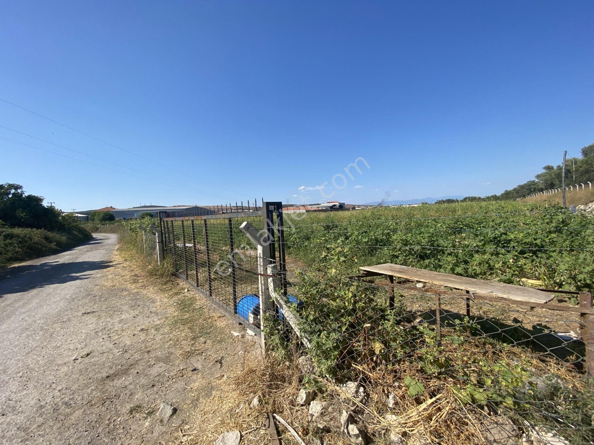 Balıkesir Ayvalık Ta Satılık 12,656 Metre Kare Arsa. - Görsel 4