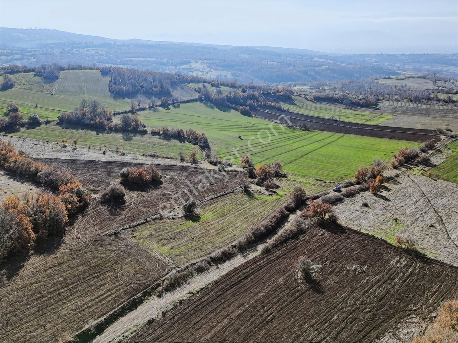 Ulucan'dan İnegöl Yeni Yörük'te Resmi Yola Cephe Fırsat Tarla - Görsel 8