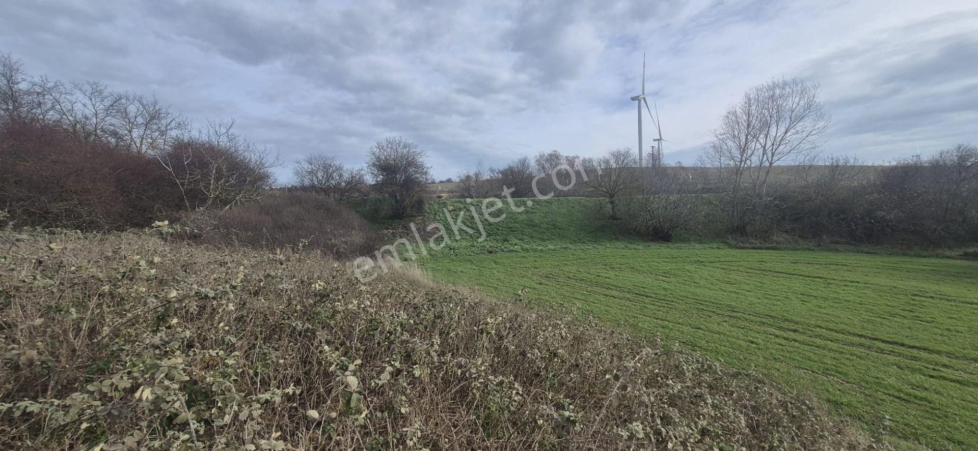 Silivri Fenerköy'de Üzerinde İzinli 280 M² Yapı Olan, 25.643 M² Satılık Arazi - Görsel 21