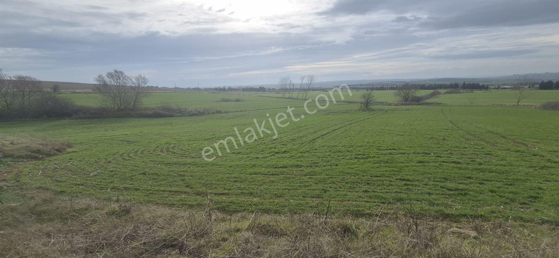 Silivri Fenerköy'de Üzerinde İzinli 280 M² Yapı Olan, 25.643 M² Satılık Arazi - Görsel 20