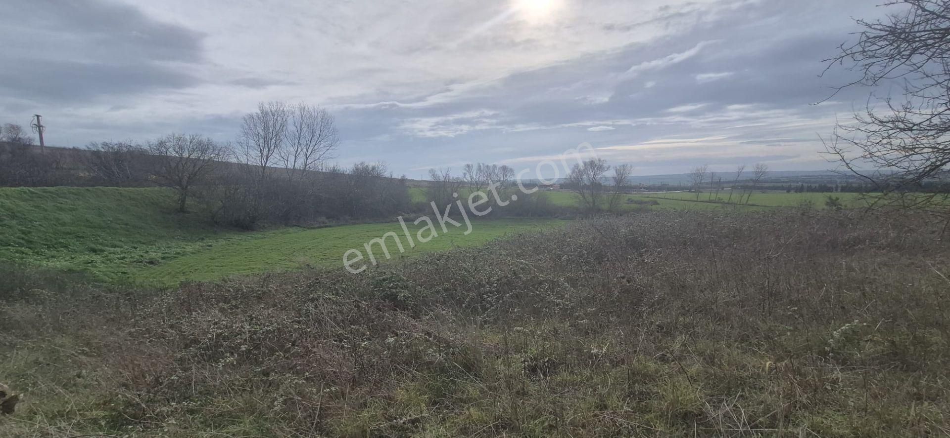 Silivri Fenerköy'de Üzerinde İzinli 280 M² Yapı Olan, 25.643 M² Satılık Arazi - Görsel 26