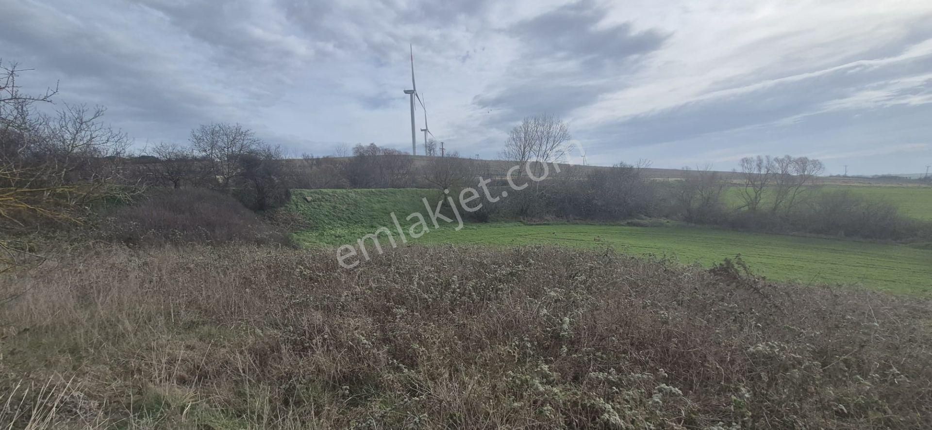 Silivri Fenerköy'de Üzerinde İzinli 280 M² Yapı Olan, 25.643 M² Satılık Arazi - Görsel 24