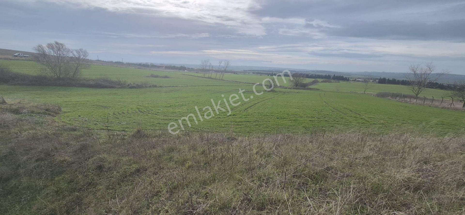 Silivri Fenerköy'de Üzerinde İzinli 280 M² Yapı Olan, 25.643 M² Satılık Arazi - Görsel 15