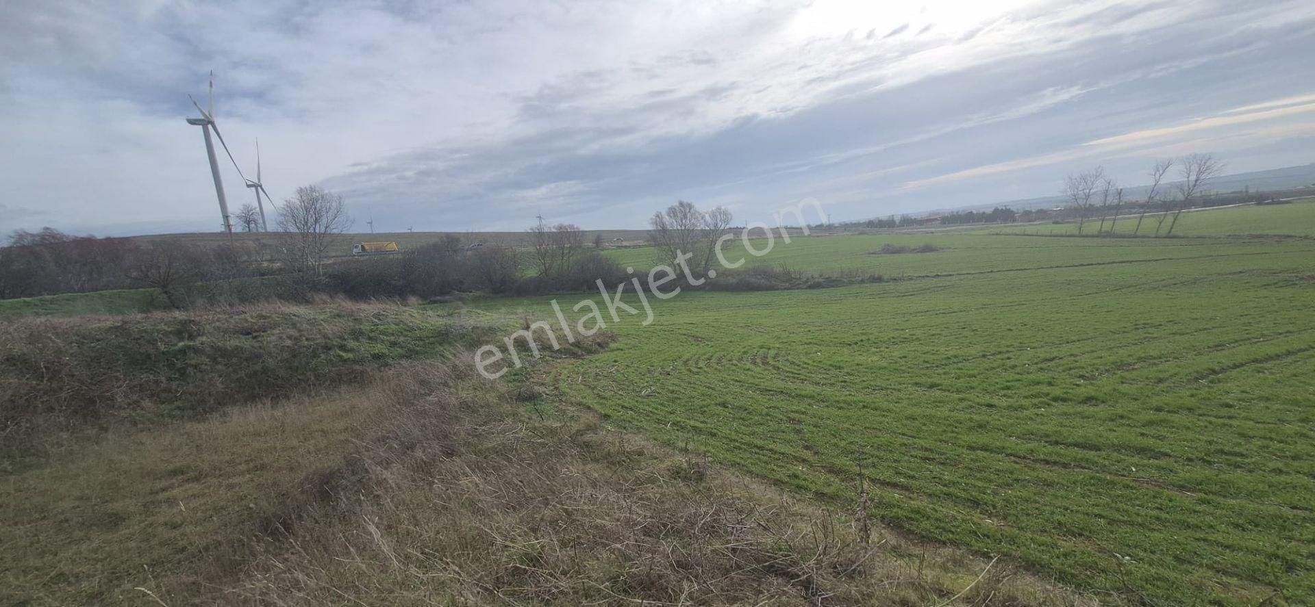 Silivri Fenerköy'de Üzerinde İzinli 280 M² Yapı Olan, 25.643 M² Satılık Arazi - Görsel 18