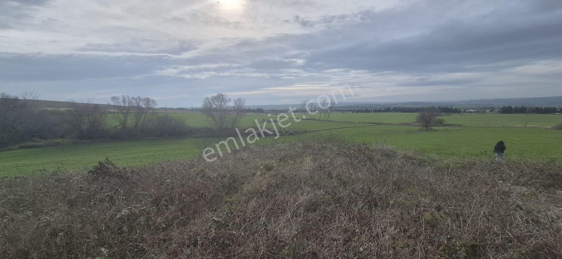 Silivri Fenerköy'de Üzerinde İzinli 280 M² Yapı Olan, 25.643 M² Satılık Arazi - Görsel 23