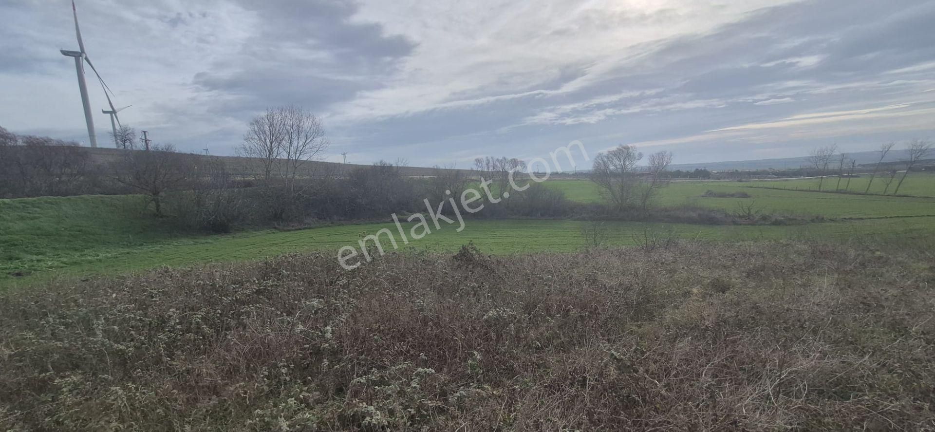 Silivri Fenerköy'de Üzerinde İzinli 280 M² Yapı Olan, 25.643 M² Satılık Arazi - Görsel 25