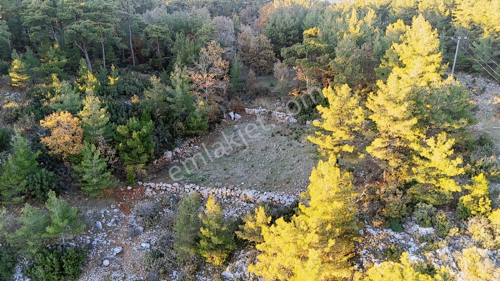 Muğla Menteşe Kuyucak 1.000 M2 Satılık - Görsel 8