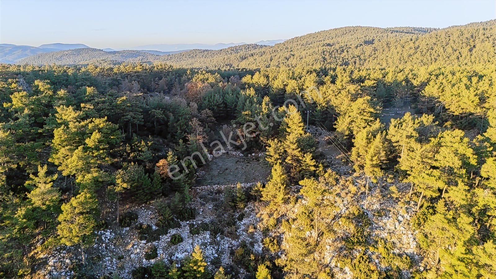 Muğla Menteşe Kuyucak 1.000 M2 Satılık - Görsel 6