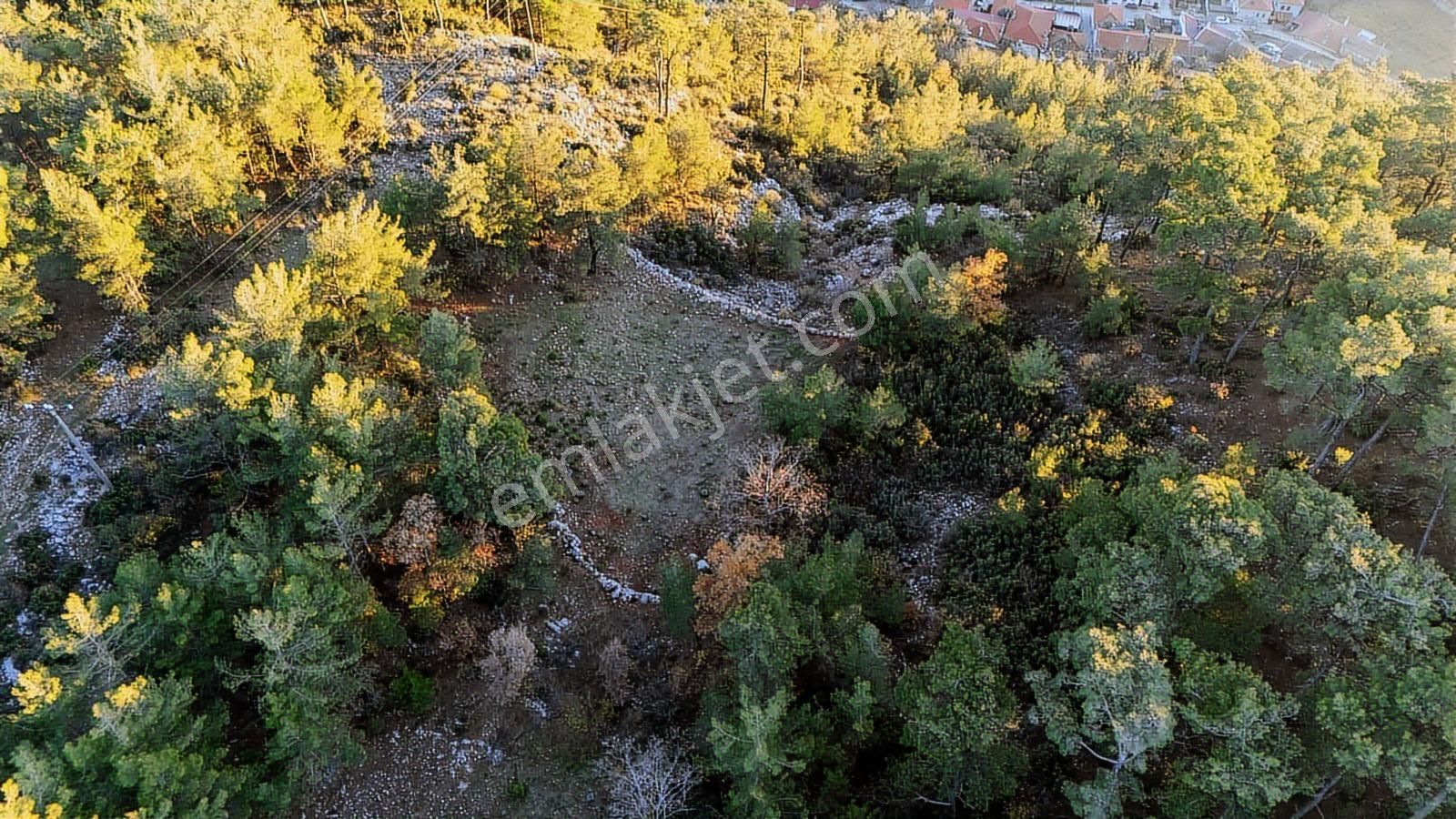 Muğla Menteşe Kuyucak 1.000 M2 Satılık - Görsel 2