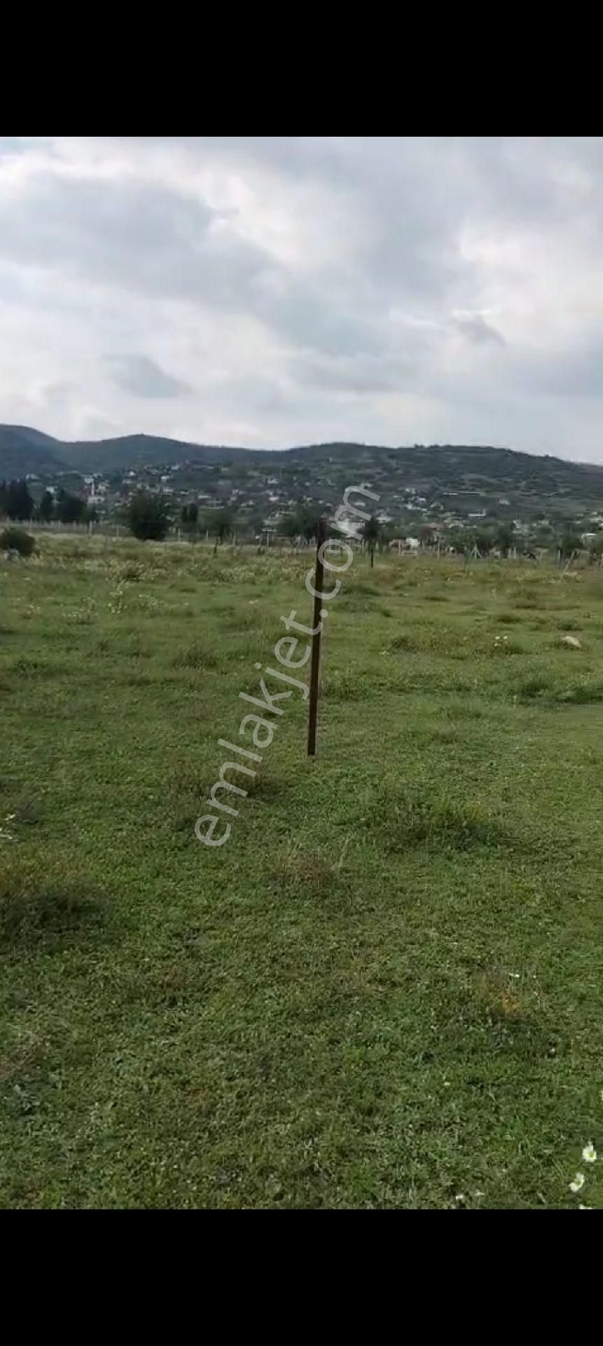 Aydın Çine Gökyaka Mahallesinde Satılık Hobi Bahçesi 1852.m2 - Görsel 4