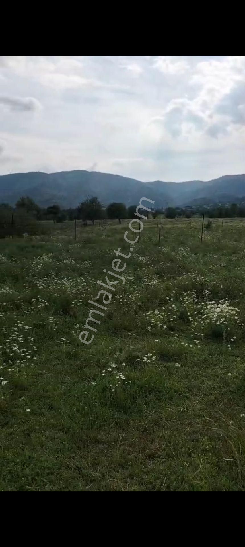 Aydın Çine Gökyaka Mahallesinde Satılık Hobi Bahçesi 1852.m2 - Görsel 14