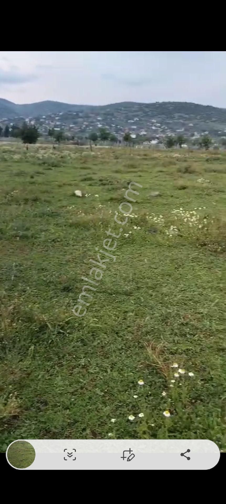 Aydın Çine Gökyaka Mahallesinde Satılık Hobi Bahçesi 1852.m2 - Görsel 15