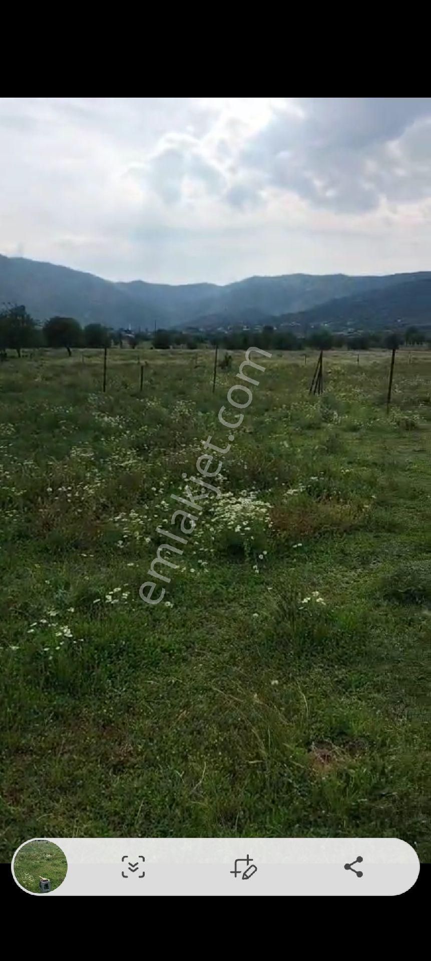 Aydın Çine Gökyaka Mahallesinde Satılık Hobi Bahçesi 1852.m2 - Görsel 20