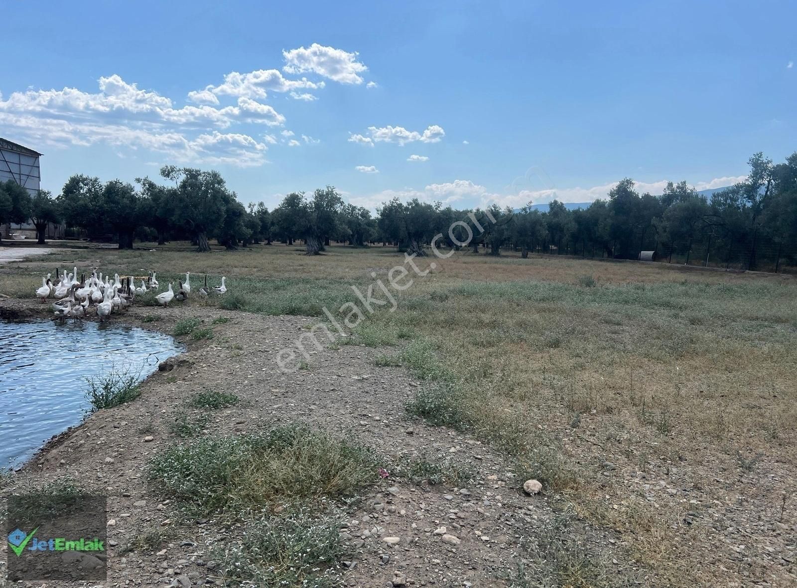 Jet'ten Organize Sanayi Bölgesinde Asfalta Cephe Kiralık Arsa - Görsel 6