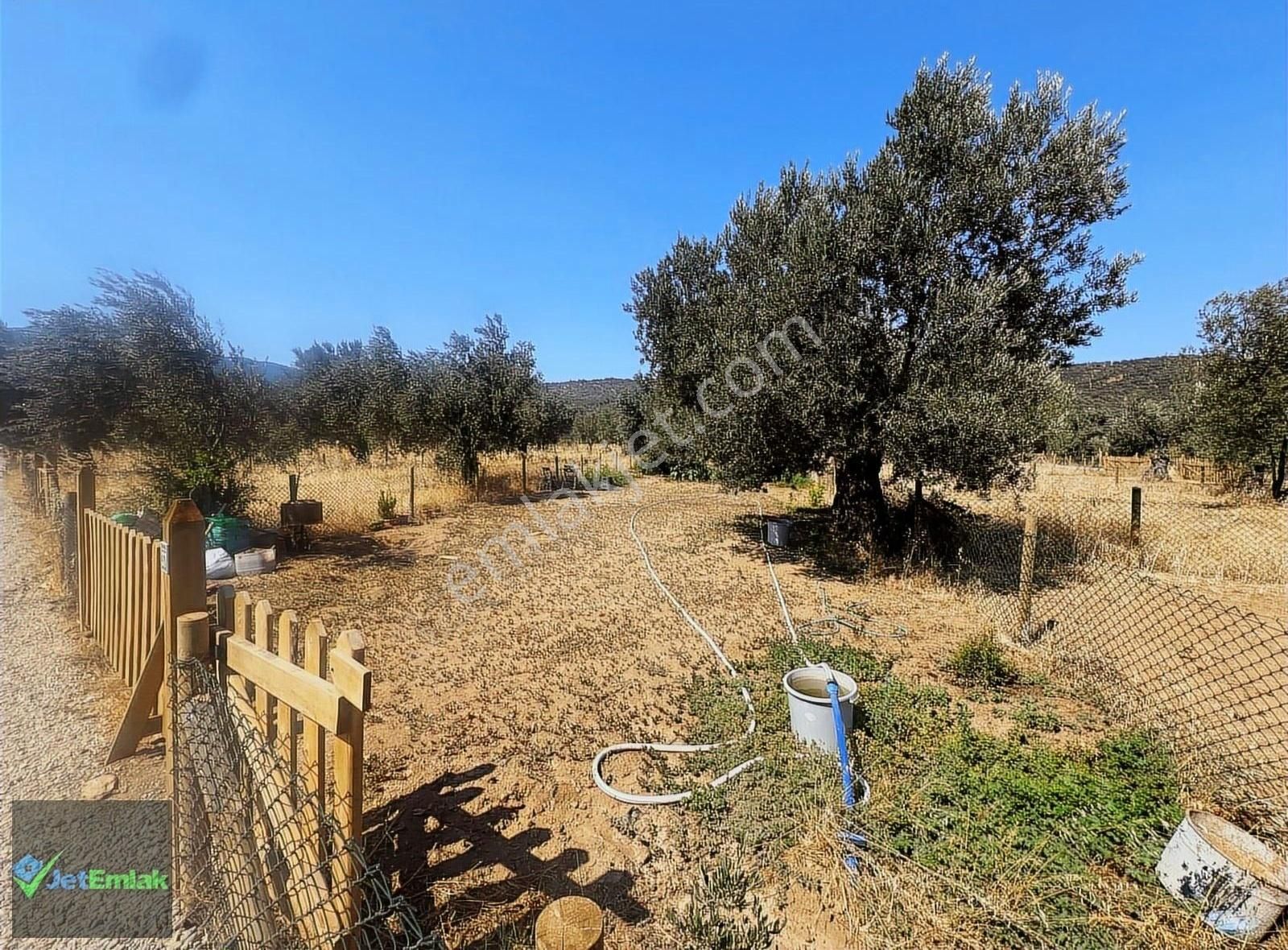 Jet'ten Zeytinlide Ulaşımı Çok Kolay 300m2 Hobi Bahçesi - Görsel 24