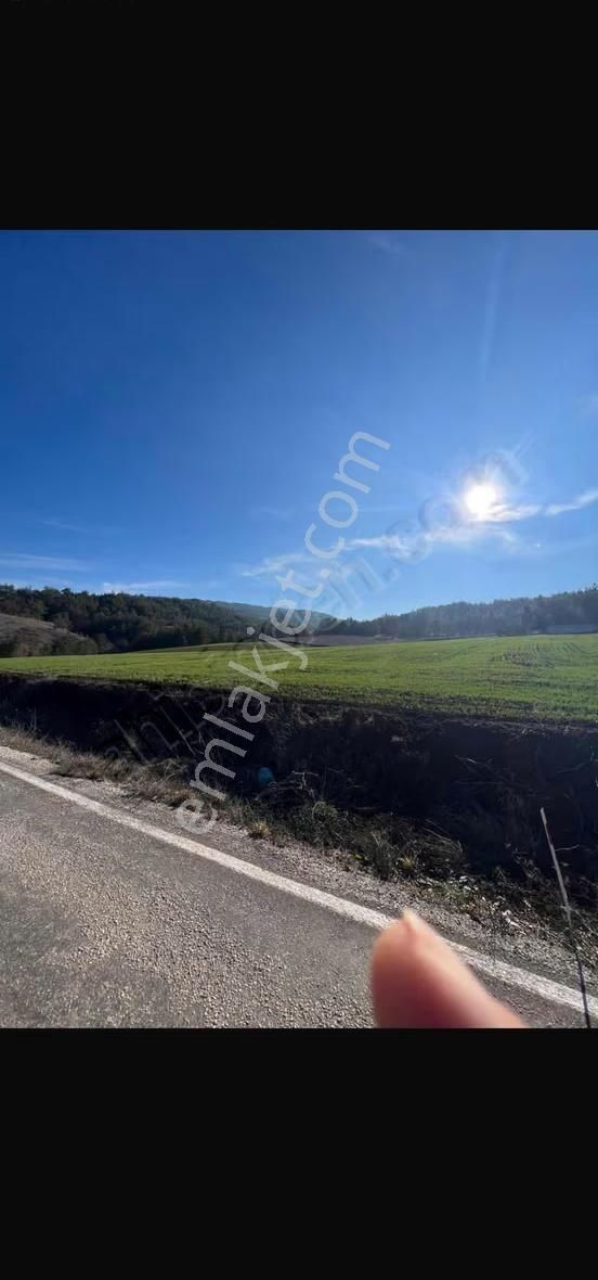 Sakarya Taraklı Da Yola Cephe 13 Dönüm Tarla - Görsel 7