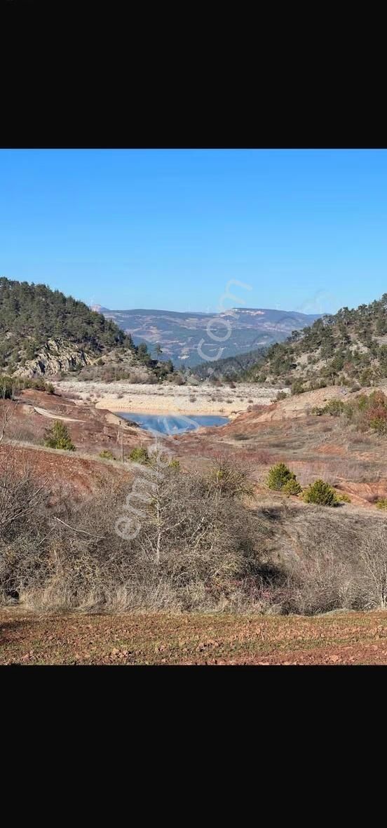 Sakarya Taraklı Da Yola Cephe 13 Dönüm Tarla - Görsel 3