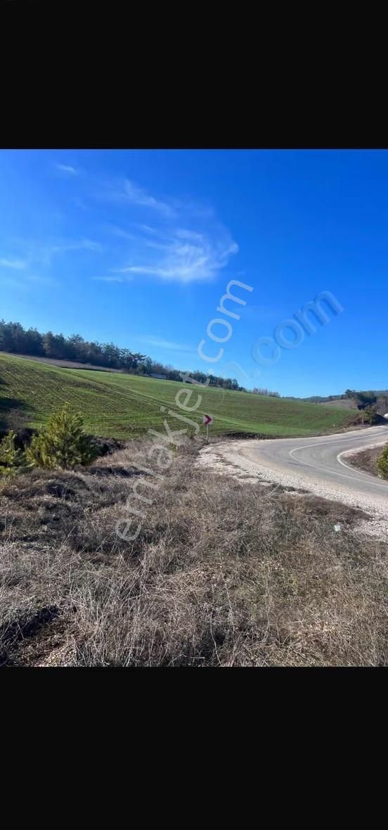 Sakarya Taraklı Da Yola Cephe 13 Dönüm Tarla - Görsel 2