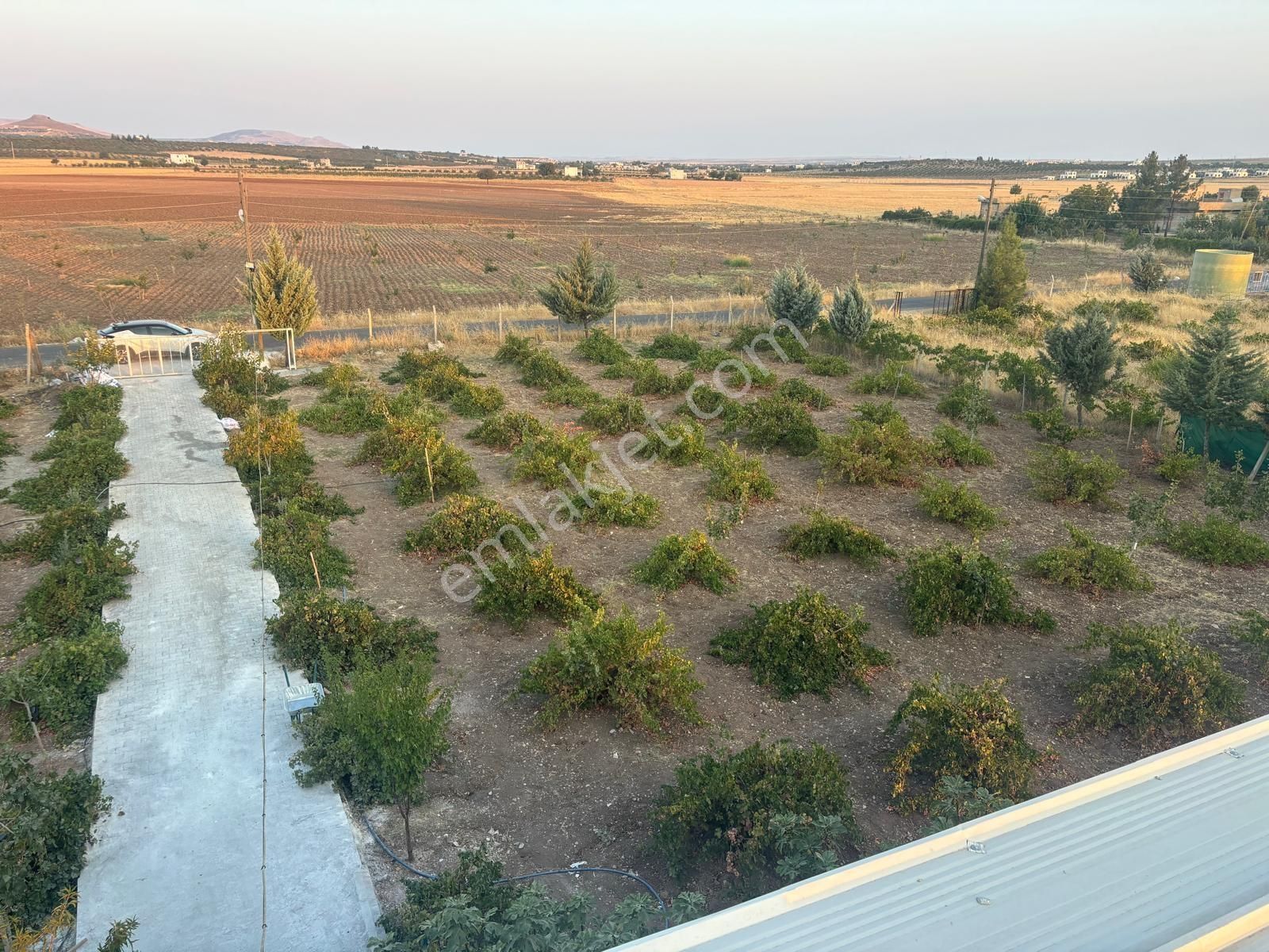 Kılınç Emlak'tan Gölpiyar'da Satılık 2.5 Dönüm Bağevi - Görsel 18