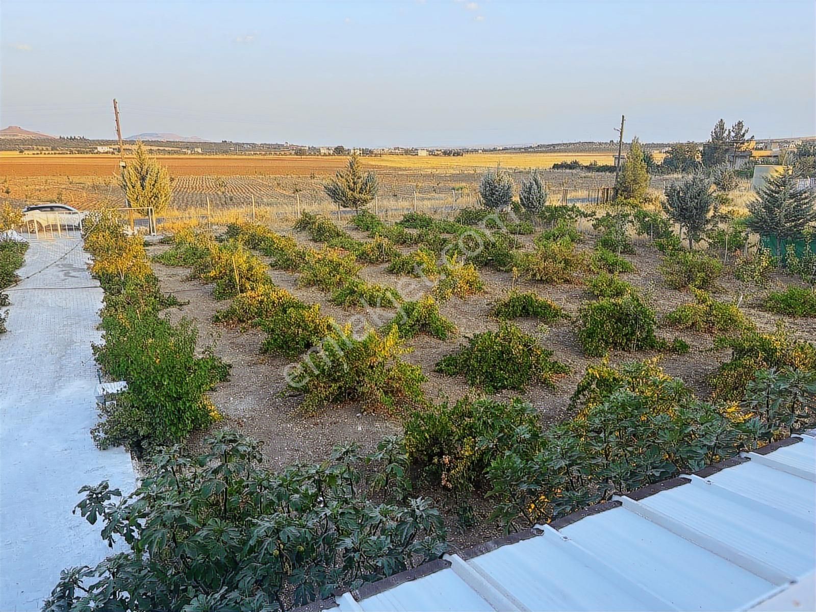 Kılınç Emlak'tan Gölpiyar'da Satılık 2.5 Dönüm Bağevi - Görsel 15