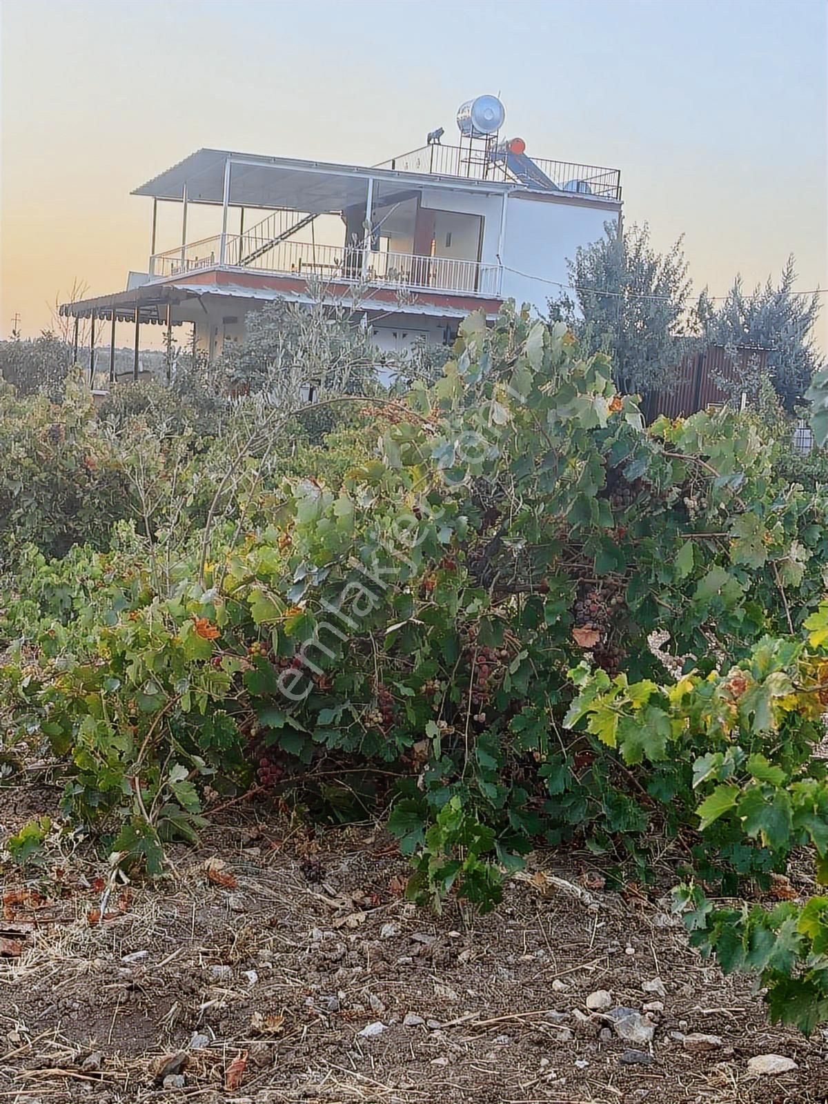 Kılınç Emlak'tan Gölpiyar'da Satılık 2.5 Dönüm Bağevi - Görsel 12