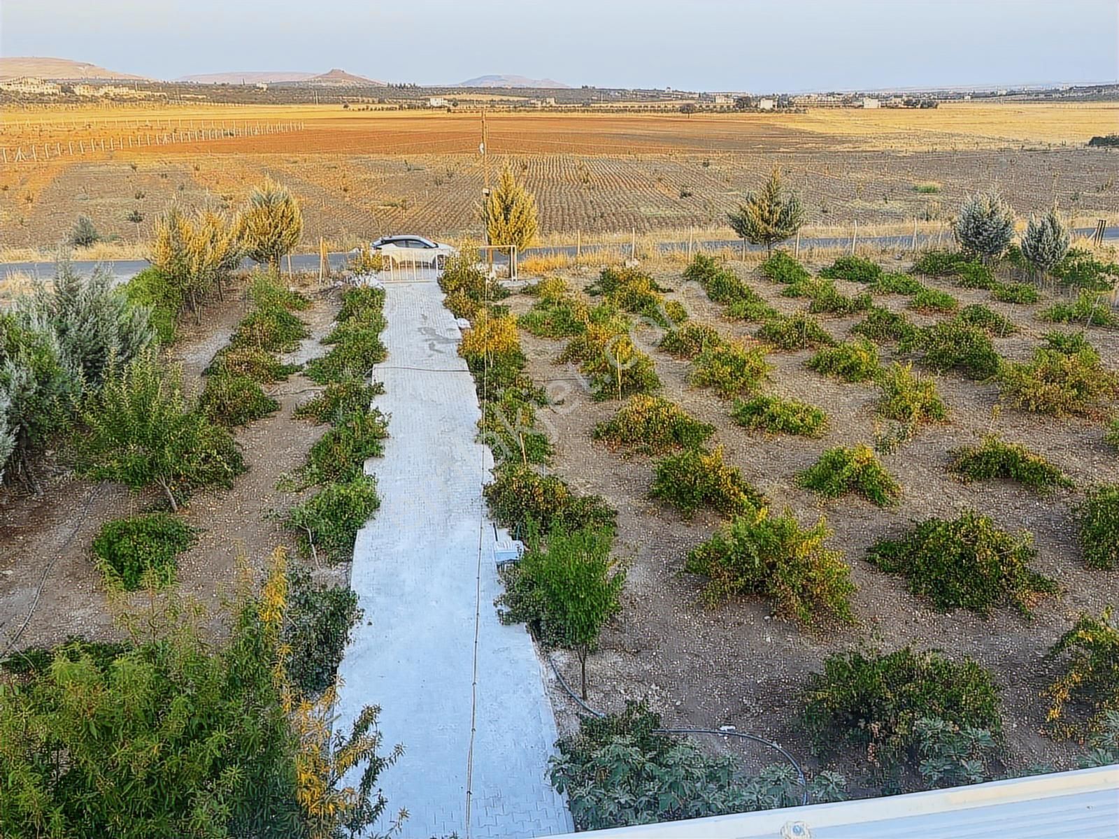 Kılınç Emlak'tan Gölpiyar'da Satılık 2.5 Dönüm Bağevi - Görsel 23