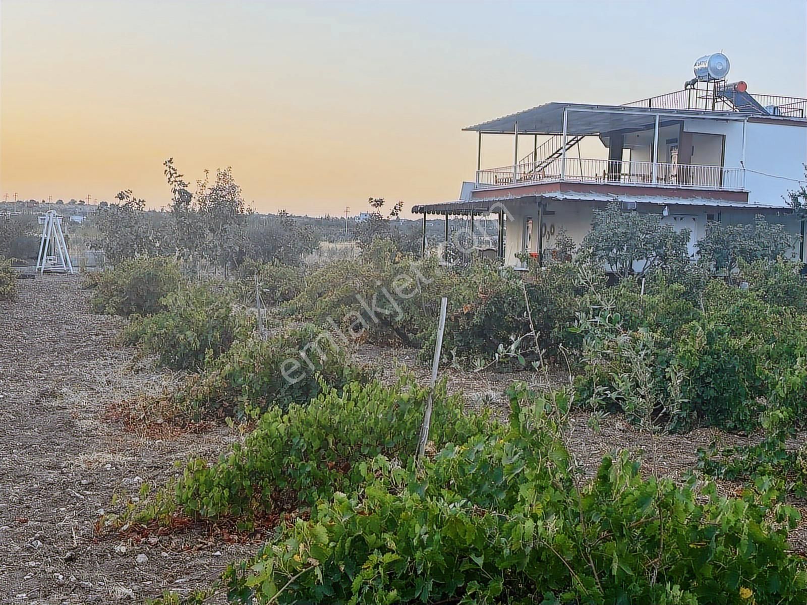 Kılınç Emlak'tan Gölpiyar'da Satılık 2.5 Dönüm Bağevi - Görsel 10