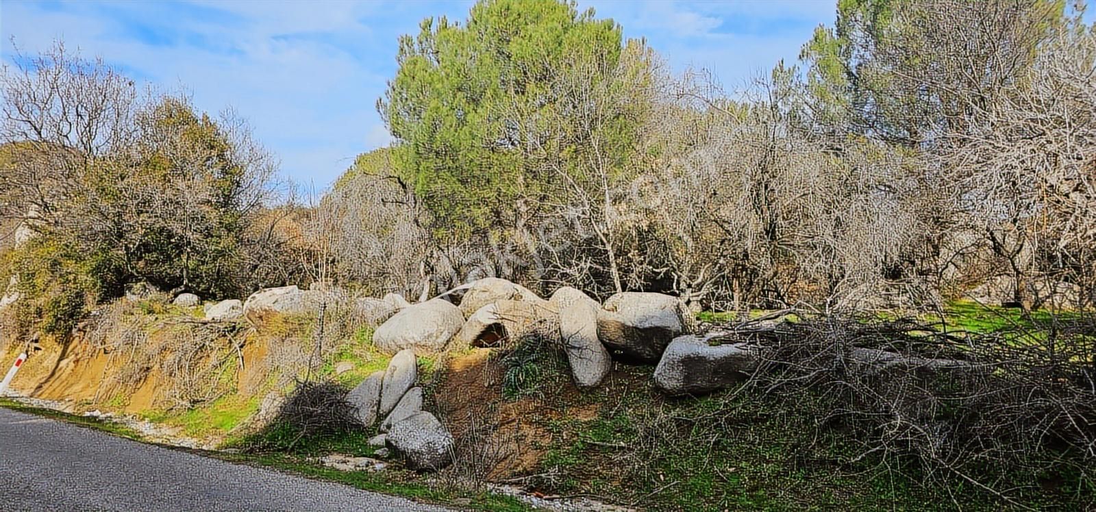 Ayvalık'a 30 Km /kozak Aşağıbey Köyü /250 M2 Konut İmarlı Arsa - Görsel 5