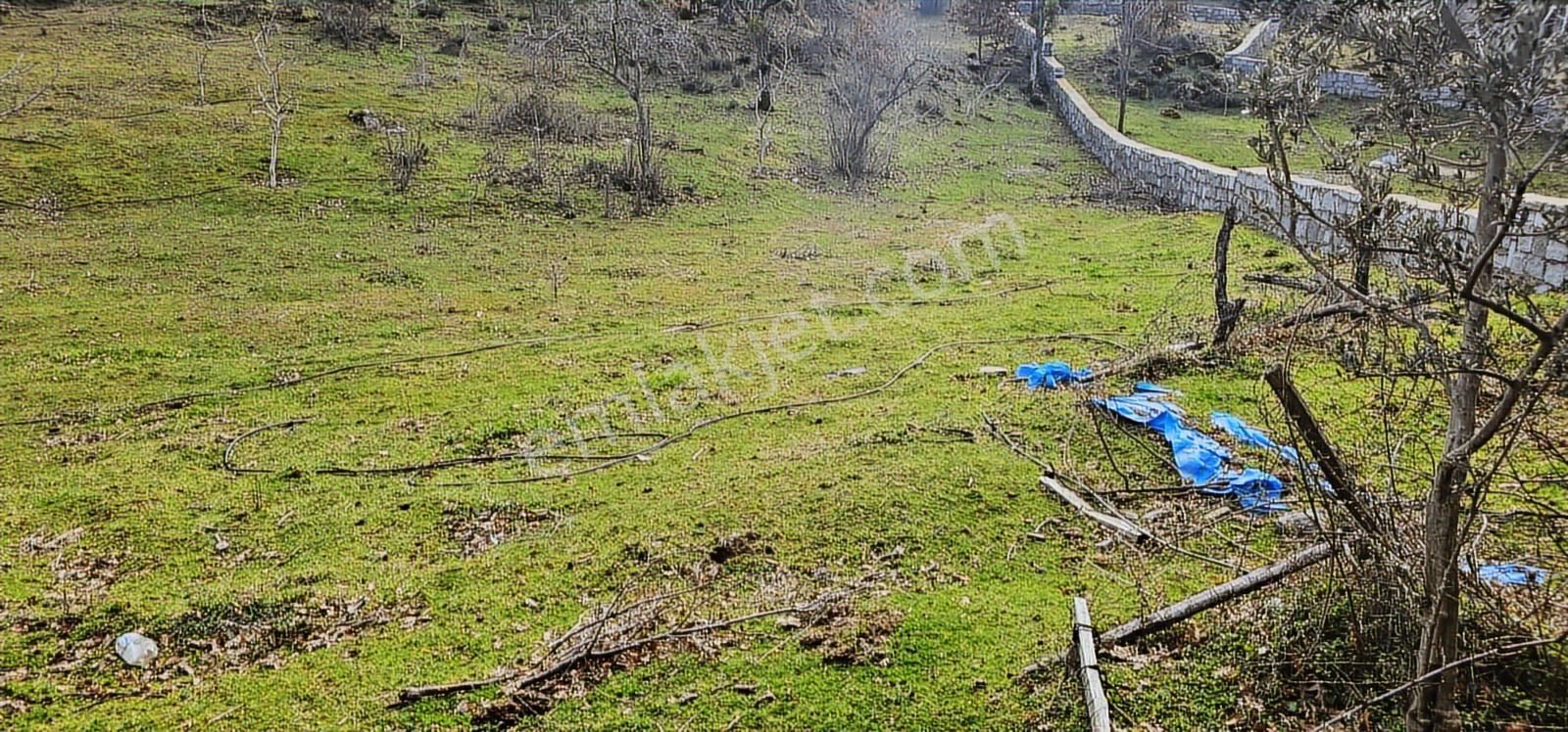 Hem Köyiçi Hem Doğa /karaveliler 1257 M2 Arsa - Görsel 9