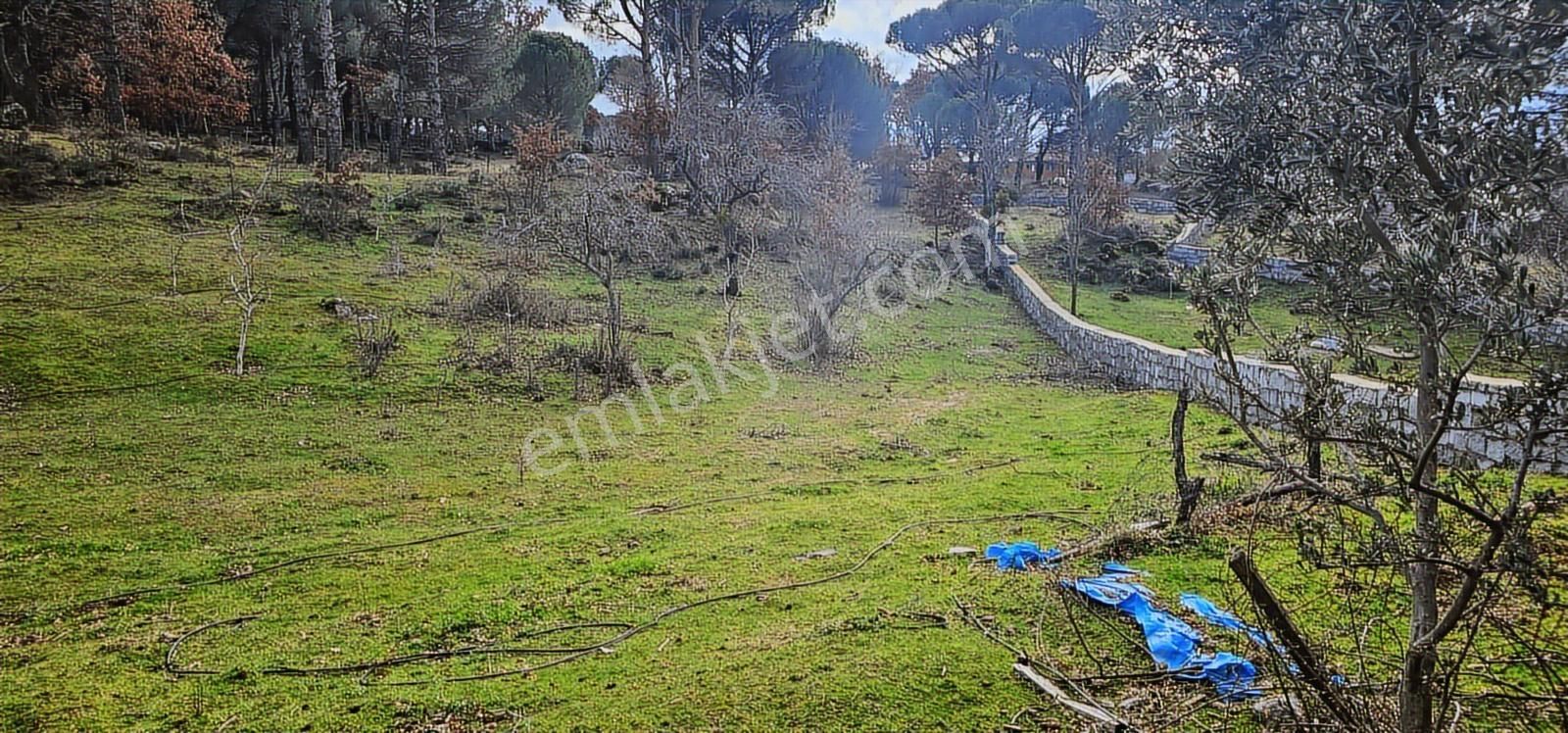 Hem Köyiçi Hem Doğa /karaveliler 1257 M2 Arsa - Görsel 7