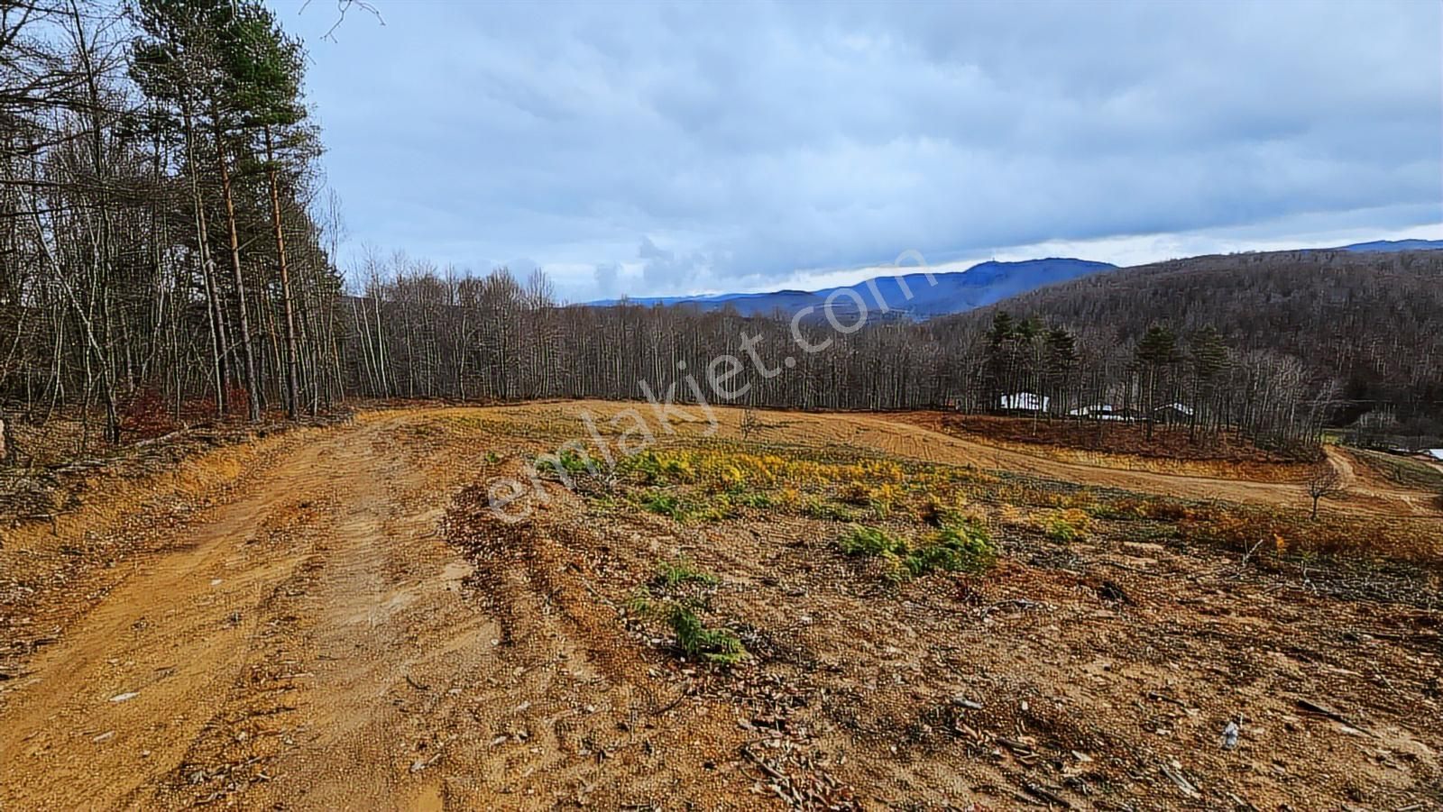 İznik Kutluca'da / 846 M² Villalık Arsa /doğa Manzaralı - Görsel 8