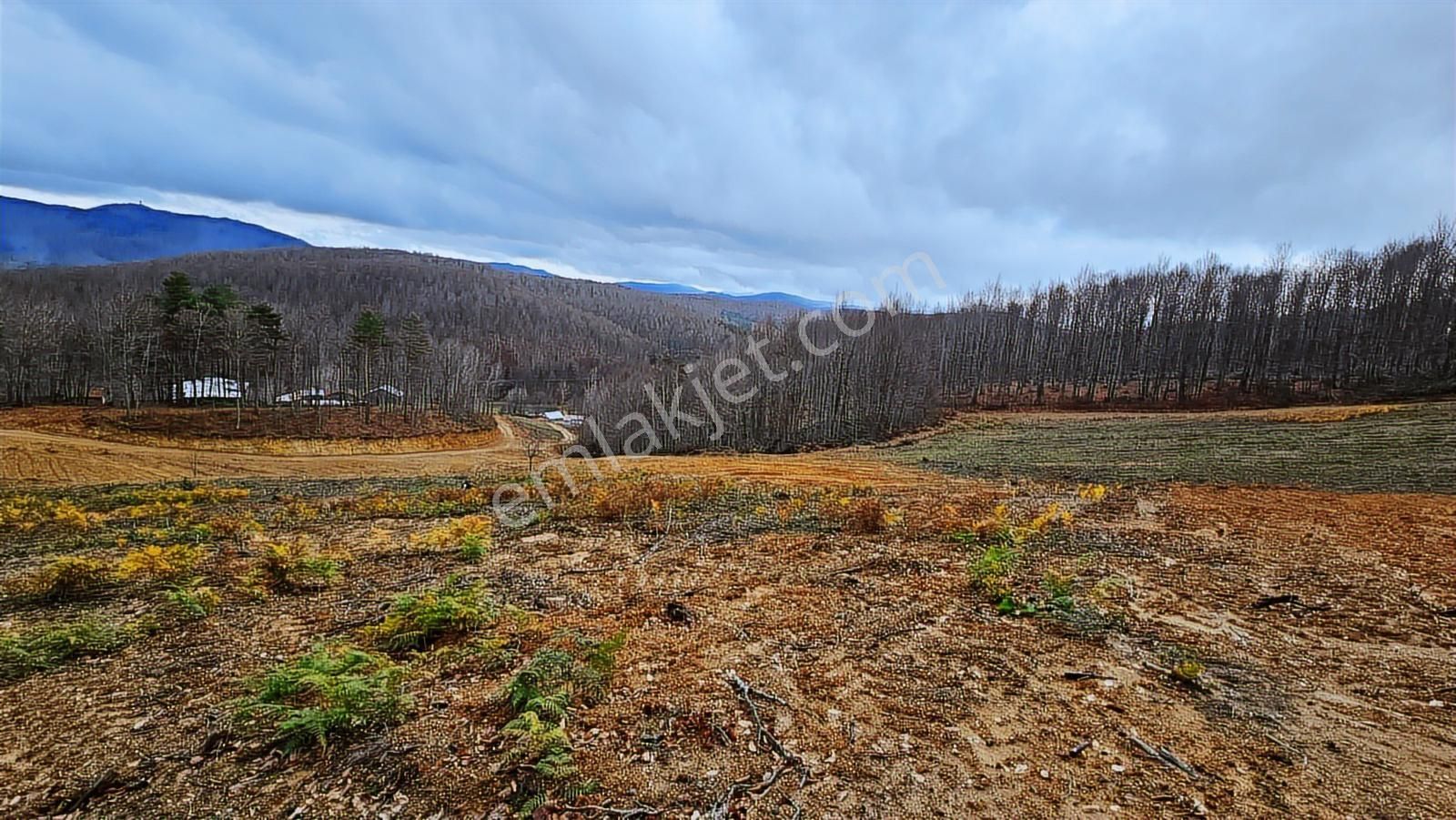 İznik Kutluca'da / 846 M² Villalık Arsa /doğa Manzaralı - Görsel 18