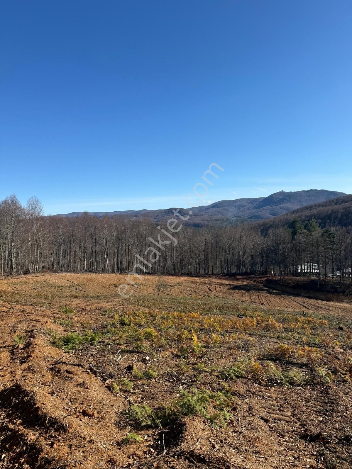 İznik Kutluca'da / 846 M² Villalık Arsa /doğa Manzaralı - Görsel 35