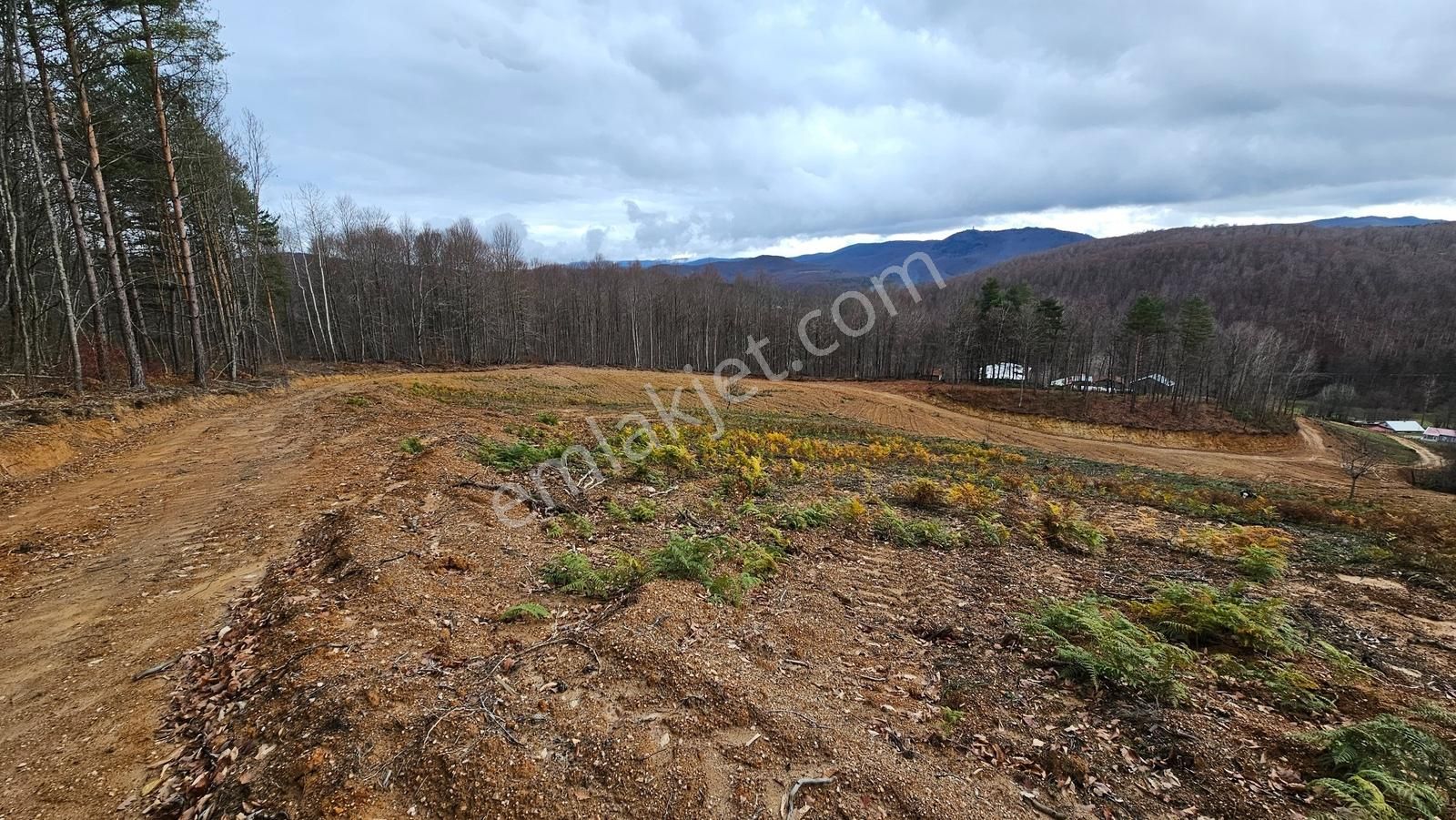 İznik Kutluca'da / 846 M² Villalık Arsa /doğa Manzaralı - Görsel 13