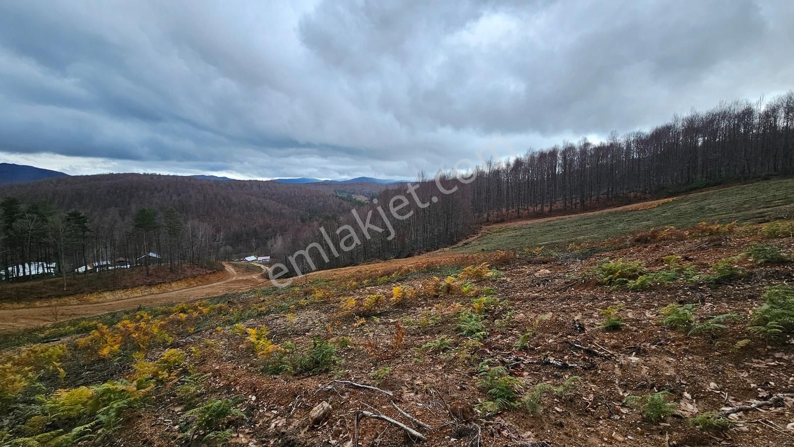 İznik Kutluca'da / 846 M² Villalık Arsa /doğa Manzaralı - Görsel 31