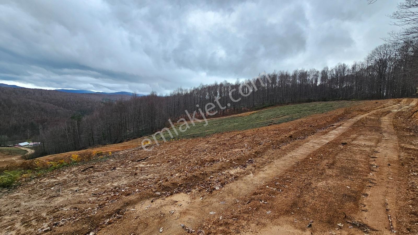 İznik Kutluca'da / 846 M² Villalık Arsa /doğa Manzaralı - Görsel 6