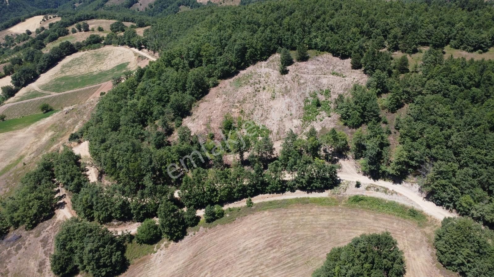 İznik Hacıosman'da Fırsat/ 4.973m² Yol Ve Orman Cepheli Tarla - Görsel 5