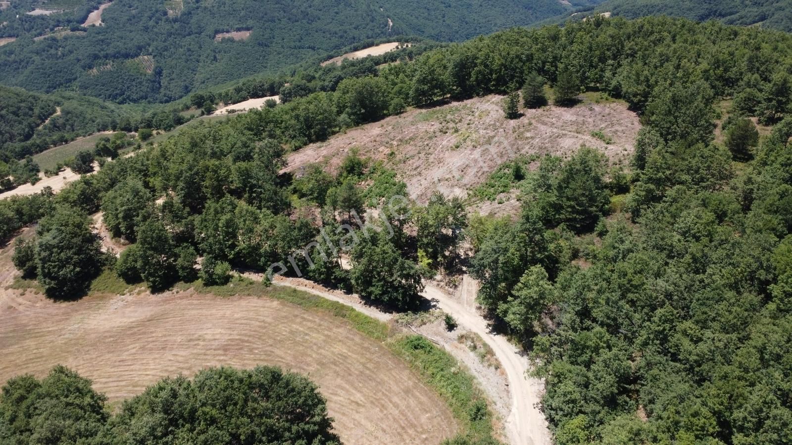 İznik Hacıosman'da Fırsat/ 4.973m² Yol Ve Orman Cepheli Tarla - Görsel 18